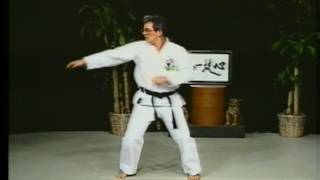 Isshinryū Karatedō  Naihanchi Kata [upl. by Layla]