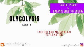 Glycolysis  Part 2  Pay Off Phase Of Glycolysis  Balace Sheet Of Glycolysis  ATP Production [upl. by Nesnaj]