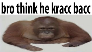 bro think he kracc bacc [upl. by Nerrag113]