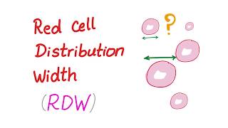 Red Cell Distribution Width RDW  What Does This Lab Test REALLY Mean [upl. by Battat79]