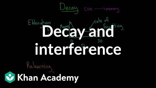 Decay and interference  Processing the Environment  MCAT  Khan Academy [upl. by Britteny]