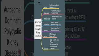 MISSION NEET PG  Autosomal Dominant Polycystic Kidney Disease shorts neetpg dams [upl. by Ute]