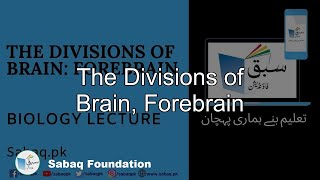 The Divisions of Brain Forebrain Biology Lecture  Sabaqpk [upl. by Laddy325]