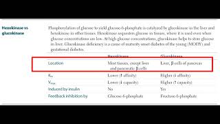 Hexokinase vs Glucokinase 6 [upl. by Kirenoj]