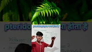 What is pteridophyta  shorts shortvideo shortsfeed viralvideo ytshorts biology [upl. by Alleirbag]