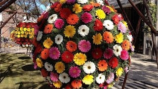 Festa da Flor Funchal Madeira 2014 Flower Festival Blumenfest Fête de la Fleur à Madère [upl. by Esir]