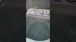 how to install Haier washing machine semi automatic Twin tub HWM 75AS [upl. by Kareem325]