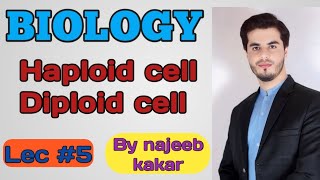 Haploid and diploid cell  Difference between Haploid and diploid  By najeeb kakar [upl. by Landmeier]