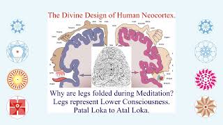 NEOCORTEX  An Antenna to Akash Kosh the Treasure House of Divine Impeccable Wisdom [upl. by Alekram]