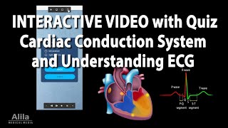 NEW INTERACTIVE Animation Cardiac Conduction System and Understanding ECG EKG [upl. by Schwenk]