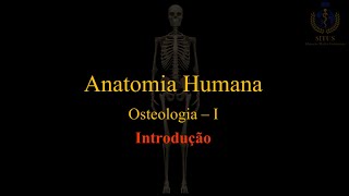 Anatomia ossos  I [upl. by Yatnohs134]