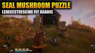 Seal Mushroom Puzzle  Assassins Creed Valhalla Fly Agaric Ledecestrescire [upl. by Meeki]