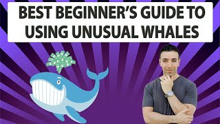 Best Beginners Guide To Unusual Whales Options Trading [upl. by Lorens]