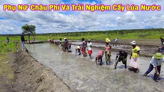 Linh Philip  Phụ Nữ Châu Phi Trải Nghiệm Lần Đầu Tiên Được Cấy Lúa Nước Trên Chính Quê Hương Mình [upl. by Haras]