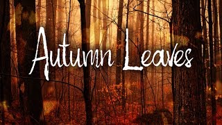 Autumn Leaves  Eva Cassidy Karaoke [upl. by Woehick]