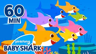 Baby Shark Doo Doo Doo 1 hour  Compilation  More and More  Baby Shark Official [upl. by Pubilis928]