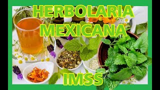 Herbolaria Mexicana IMSS [upl. by Damicke811]