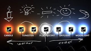 White Balance amp Kelvin Color temp explained 💡 [upl. by Selassie]