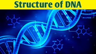 DNA structure and FunctionUrduHindi  What is DNA  DNA Structure Animation DNA [upl. by Ahsrav190]