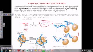 Chromatin remodeling [upl. by Ag696]