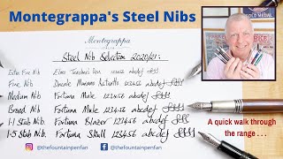 Check out Montegrappas Steel Nib Range for 202021 [upl. by Peednam412]