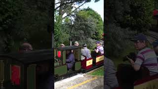 Beer Heights Light Railway Steam Trains Parallel Run train steam [upl. by Lrig]