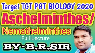 Phylum Aschelminthes Nemathelminthes  Nematode  UP TGT PGT BIOLOGY  Class nematode  B R Sir [upl. by Pollerd]