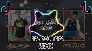 ITS YOU Pt2   Andy Adrian x Ando Dizello Remix Best Remix Mashup Party [upl. by Sicular302]