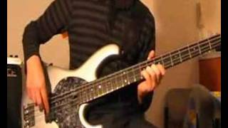 Transcending  Red Hot Chili Peppers Bass Lesson [upl. by Sera]