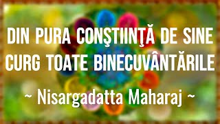 Adevărul Suprem  spus de Nisargadatta Maharaj Cine sunt eu A treia parte [upl. by Leo700]