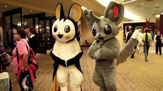 Minccino and Emolga at Animefest [upl. by Shaia]