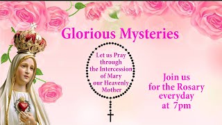 The Holy Rosary  Glorious Mysteries  06 November 2024 [upl. by Ventre]