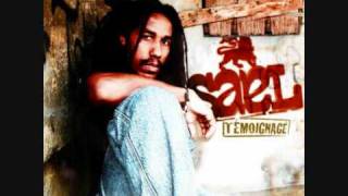 Sael  Maladive Attirance Album Témoignage 2oo9 Promo Only Use [upl. by Lydia]