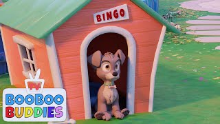 BINGO songs 🐶 Baby songs  Nursery Rhymes amp Kids Songs [upl. by Aihcela]