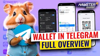 Wallet in Telegram What it is and how it works ⚡️ Hamster Academy [upl. by Asirehc]