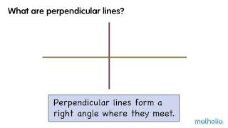 Perpendicular Lines [upl. by Anivek466]