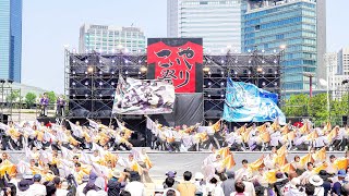 4K 香川大学よさこい連風華 こいや祭り 2024 土曜日 [upl. by Kendrah]