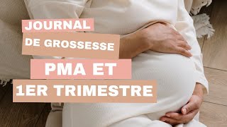 Journal de grossesse  Parcours PMA  1er trimestre [upl. by Joette786]