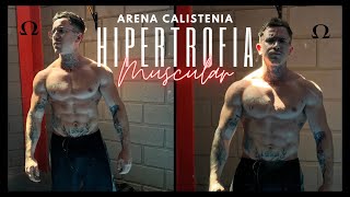 HIPERTROFIA na CALISTENIA [upl. by Punak]