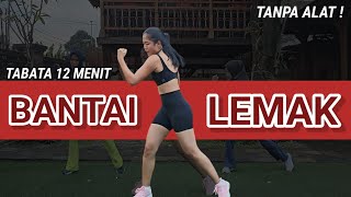 12 MENIT BANTAI LEMAK SELURUH TUBUH TANPA ALAT [upl. by Sudnac]