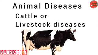 Disaeses of cattle  Livestock animal diseases  Dairy animal diseases  Bacterial amp Viral diseases [upl. by Holzman]