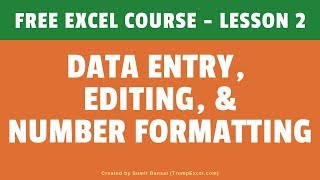 FREE Excel Course Lesson 2  Data Entry Editing and Number Formatting [upl. by Enrobso]