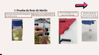 RECUENTO DE COLIFORMES TOTALES FECALES Y CLOSTRIDIUM SULFITO REDUCTORES [upl. by Tamer]