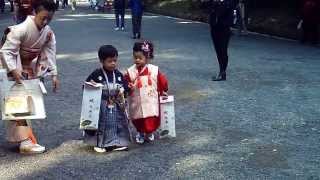 Japanese kids dressed in traditional kimonos  very cute [upl. by Aneetsirk]