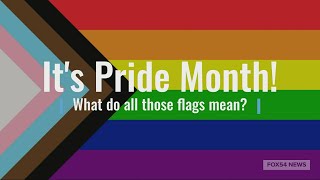 What do LGBTQ Pride flags mean [upl. by Ynnod]