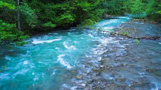 Calming Sound of Turquoise Mountain River Nature Sounds Flowing Water White Noise for Sleeping [upl. by Llerral]