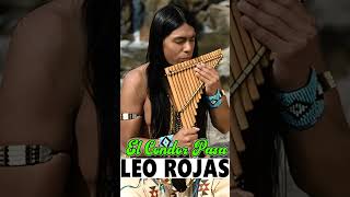 LEO ROJAS  El Condor Pasa  Matsuri 2 [upl. by Timmie]