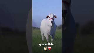 YouTube tiktok video Jay shree Krishna Radhe ji ki video 💓🚩💕🚩💞💕😎💓🚩🚩🙏👑🚩💓💞🙏 [upl. by Alba]