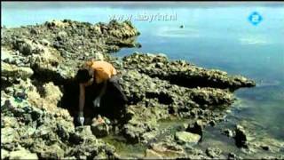 Labyrint The search for life Dutch science documentary [upl. by Nalani]