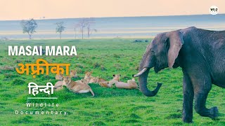 Masai Mara  हिन्दी डॉक्यूमेंट्री  African Wildlife stories documentary in Hindi [upl. by Haidabez]